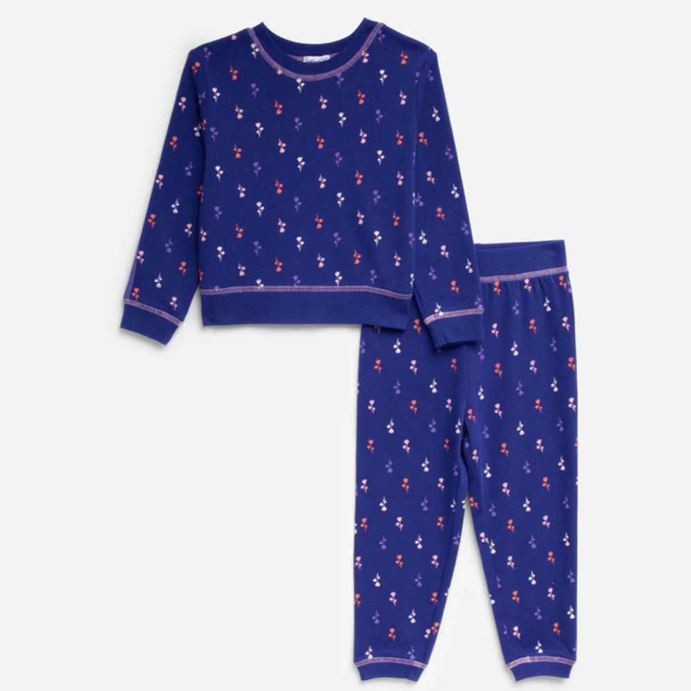 Splendid - Toddler Girls Fleurette Jogger Set - Blue Floral - Size: 5T